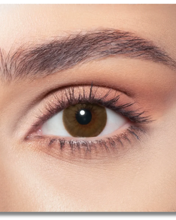 Untitled design (63)