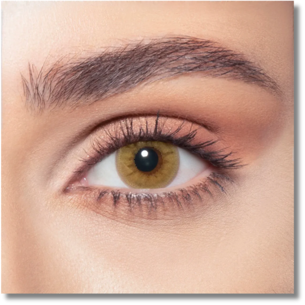 Medical and CosmeticLens. Bio compatible elements making the lens soft & comfortable throughout the day High Water retention that allow high oxygen permeability Ideal for eye dryness High Definiti (13)