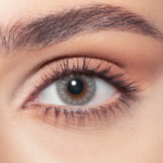 Untitled design – 2025-11-29T165339.243