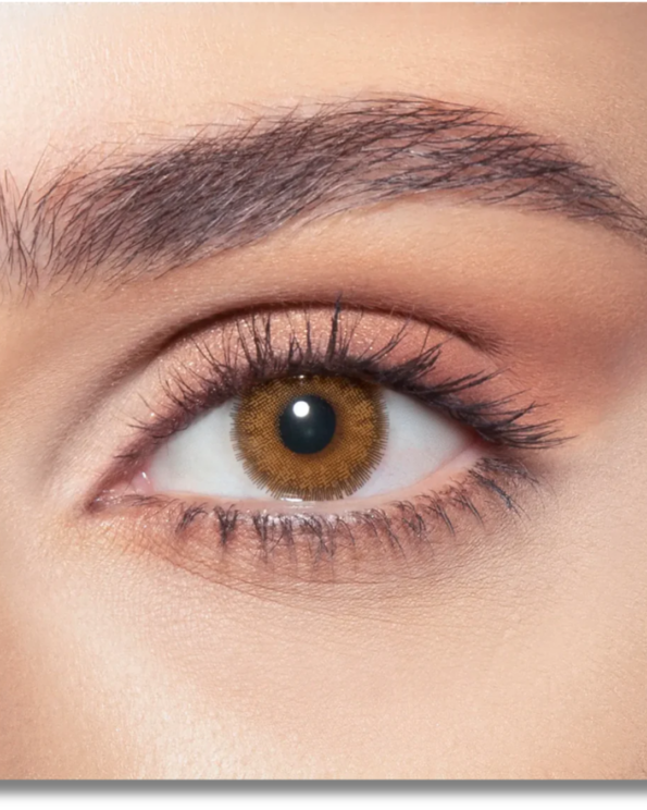 Untitled design – 2025-11-29T170243.283