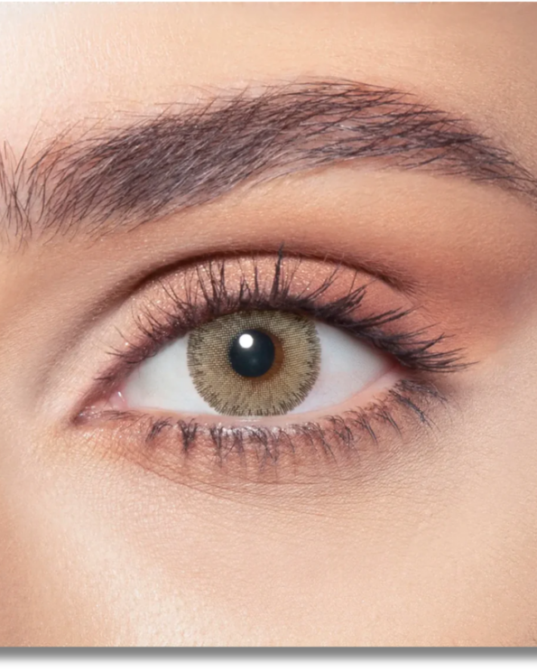 Untitled design – 2025-11-30T111710.713