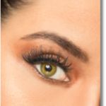 Untitled design – 2025-11-30T204242.568