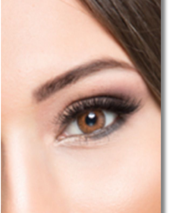 Untitled design – 2025-11-30T211005.449