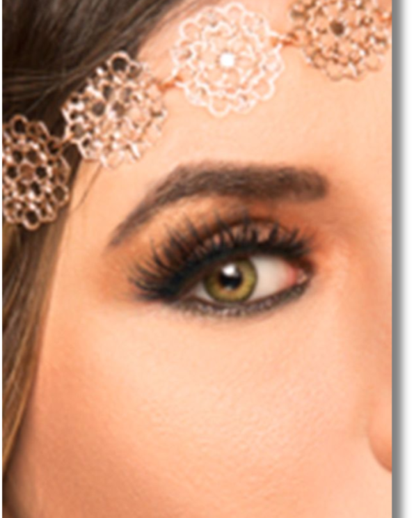 Untitled design – 2025-11-30T211450.539