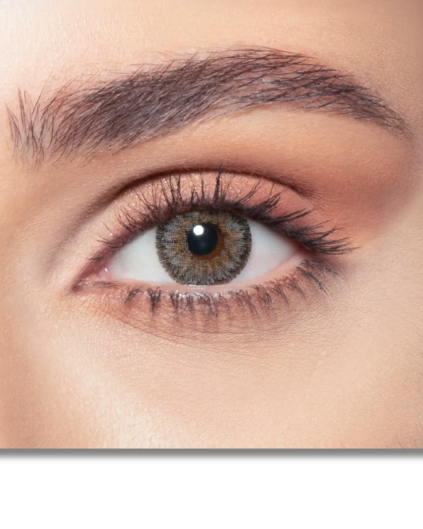 Untitled design (41)