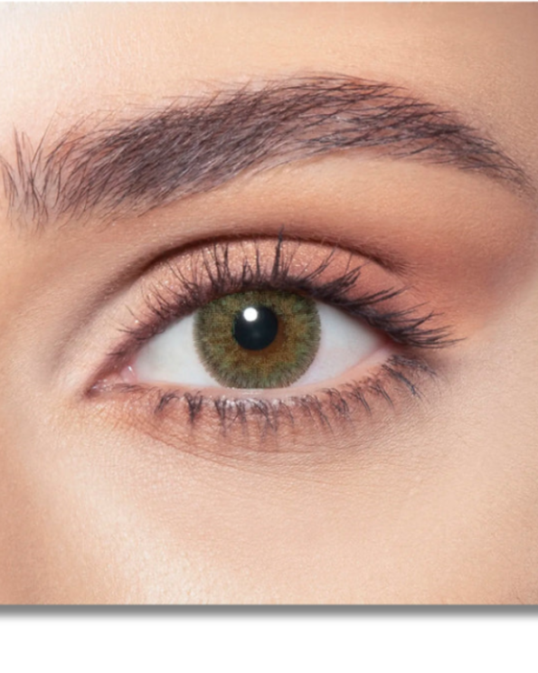 Untitled design (42)