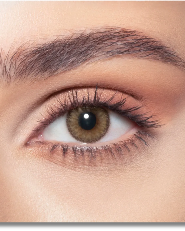 Untitled design (55)