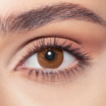 Untitled design (72)