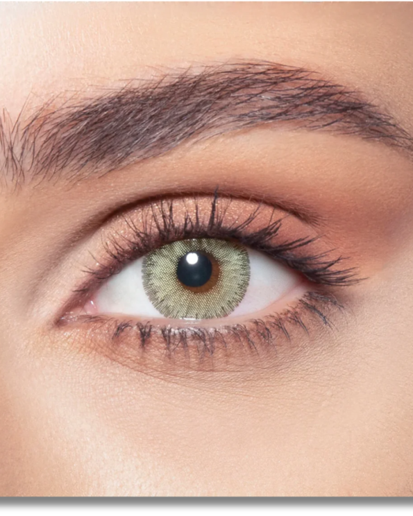 Untitled design (76)