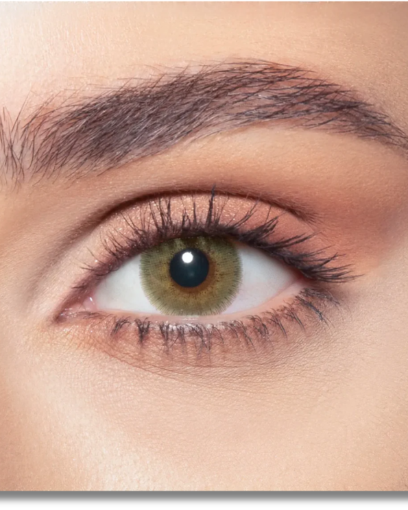 Untitled design (92)