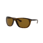 RAYBAN – 2026-05-30T151655.793
