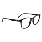 RAYBAN – 2026-05-31T163457.931