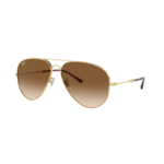 RAYBAN (33)