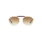 RAYBAN (37)