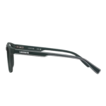 RAYBAN (39)