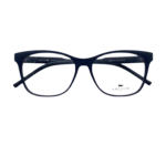 RAYBAN (41)