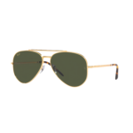 RAYBAN (43)