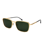 RAYBAN (43)