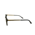 RAYBAN (53)