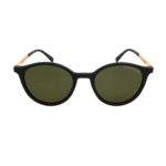 RAYBAN (53)