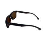 RAYBAN (66)